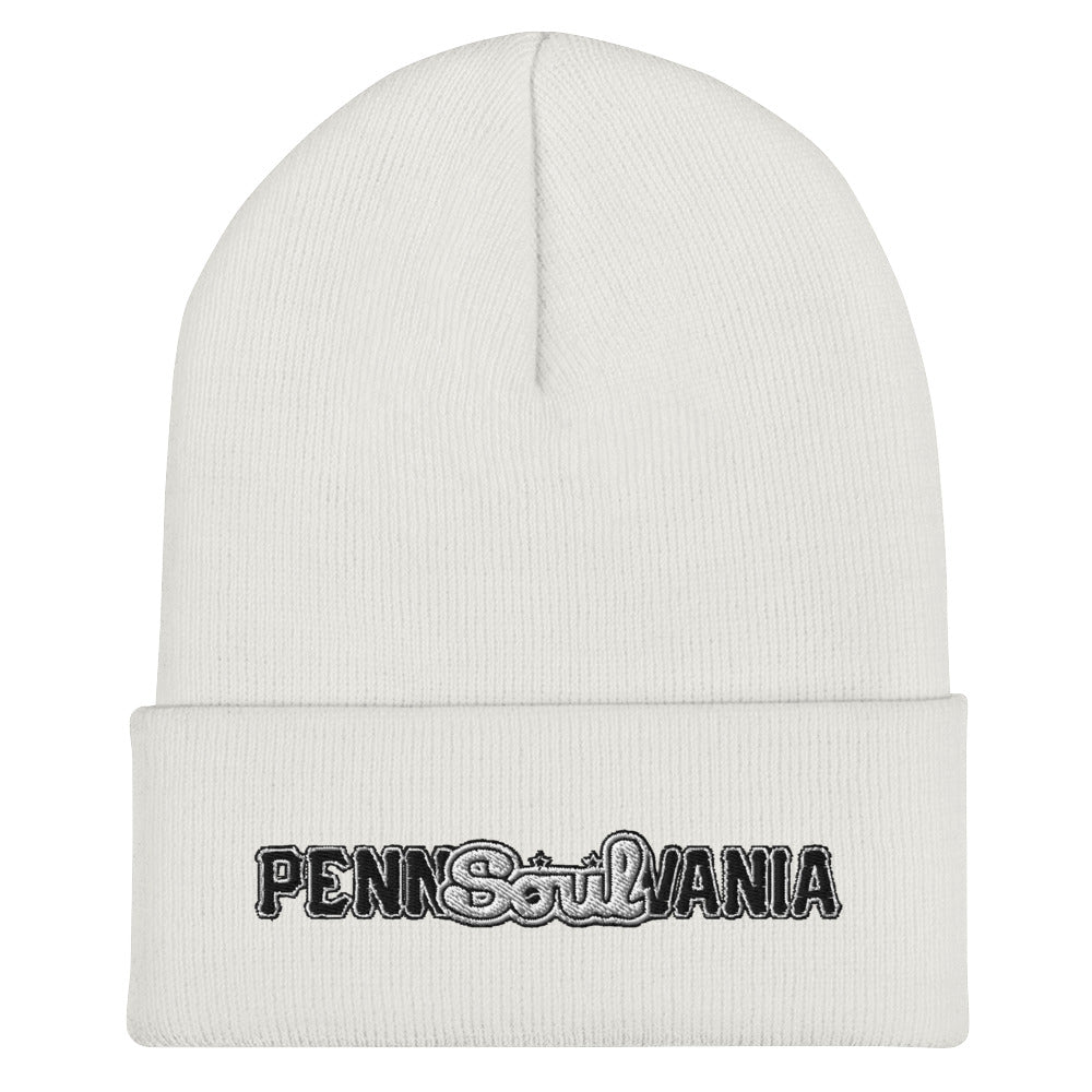 Home Run Beanie